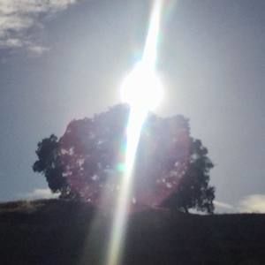 Meet your Posher, Elisha